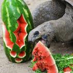 5e37d50b23000060006ecf15