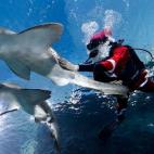 5e37d50b2400006904ed6033