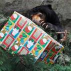 5e37d50b230000fa066ecf1d