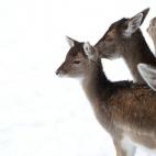 5e37d510220000300023e1b4