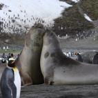 5e37d5102300000e046ecf34