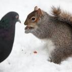 5e37d5112400003100ed6049