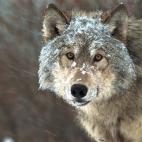 5e37d5112400006a04ed604b