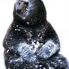 5e37d511220000520023e1bc