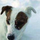 5e37d5122400003100ed604d