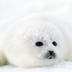 5e37d5122400006a04ed6051