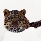 5e37d5122400003000ed6053