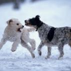 5e37d513220000350423e1c4