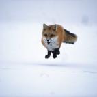 5e37d513220000300023e1c6