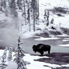 5e37d5142400006a04ed6057