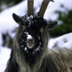 5e37d5142400003100ed605b