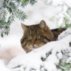 5e37d515220000520023e1c8