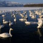 5e37d515220000520023e1ca