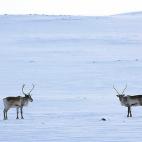 5e37d51523000060006ecf42