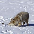 5e37d5162400003000ed6067