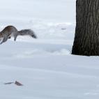 5e37d5162400006a04ed6069