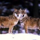 5e37d516220000300023e1ce