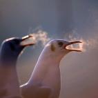 5e37d5172400003000ed606f