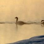 5e37d518230000fa066ecf48