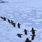 5e37d518220000350423e1d2