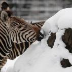 5e37d5192400003000ed6073