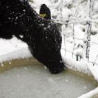 5e37d519230000f9066ecf4e