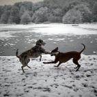 5e37d5192400003000ed6075