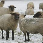 5e37d51a230000f9066ecf52