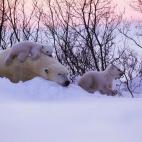 5e37d51a2400006a04ed6077