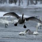 5e37d51b220000340423e1da