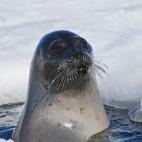 5e37d51b230000fa066ecf5a