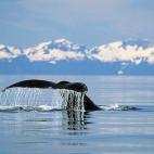 5e37d51c220000520023e1de