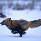 5e37d51d2400006904ed6083