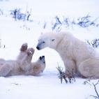 5e37d51d2400003000ed6085