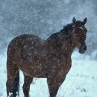 5e37d51d2400003100ed6087