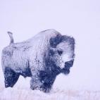 5e37d51e23000060006ecf62