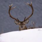 5e37d51e230000fa066ecf64