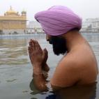 5c8ad6983b000070066caae4