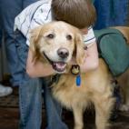 5c8a8d482500000704c92e1d