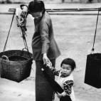 5c8a3e6d20000045046ee73b