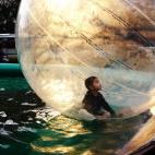 5c8a8d4a2300000401233d83