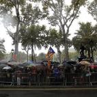 5c8b12e5230000dd04240b29