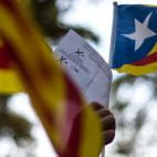 5c8b12e8240000f7054cc9e0