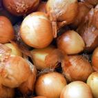 Su efecto beneficioso es similar al del ajo, aunque cuenta con una ventaja: no pierde las propiedades al cocinarse. La cebolla goza de un gran poder preventivo, del que ya se percataron los romanos y griegos, y que recientemente demostró un est...