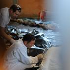 5c8ad9242300005400e748a8