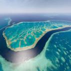 5c8a57363b000054066bdcf8