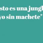 5c8b11dc2500000d04c9f904