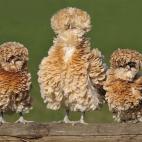 5c8b1089360000c81a6c61f0