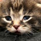 5c8b108a2000004304701010