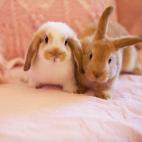 5c8b108a230000040124063d